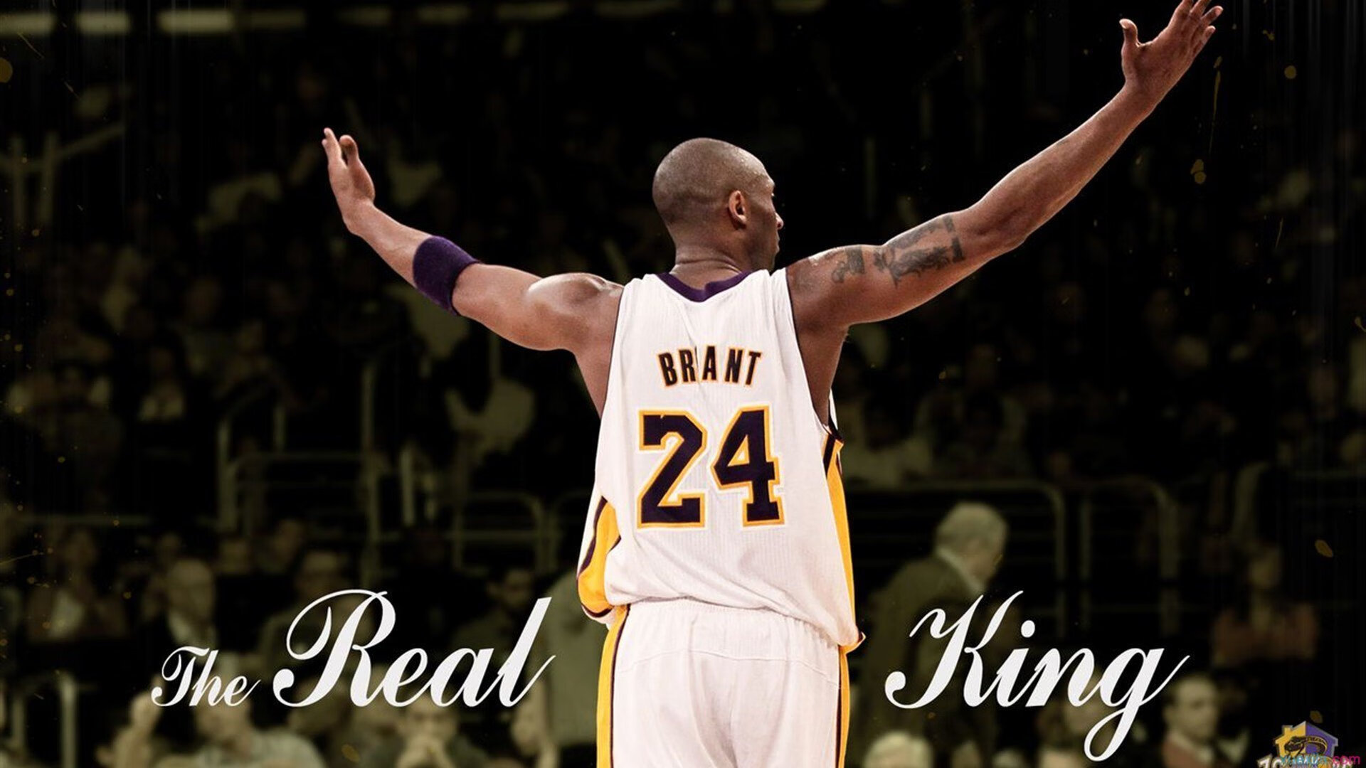 开云电竞-“2025世界运动会：高新体育中心篮球赛成赛事热点”